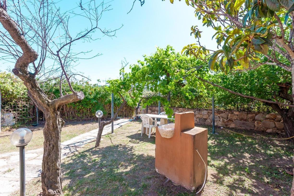 B&B Pettirosso Garden San Teodoro (Sardinia) Exterior foto