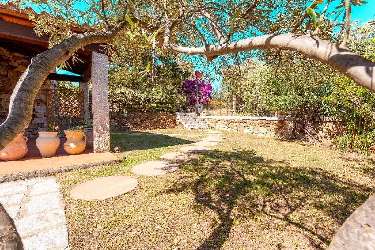 B&B Pettirosso Garden San Teodoro (Sardinia) Exterior foto