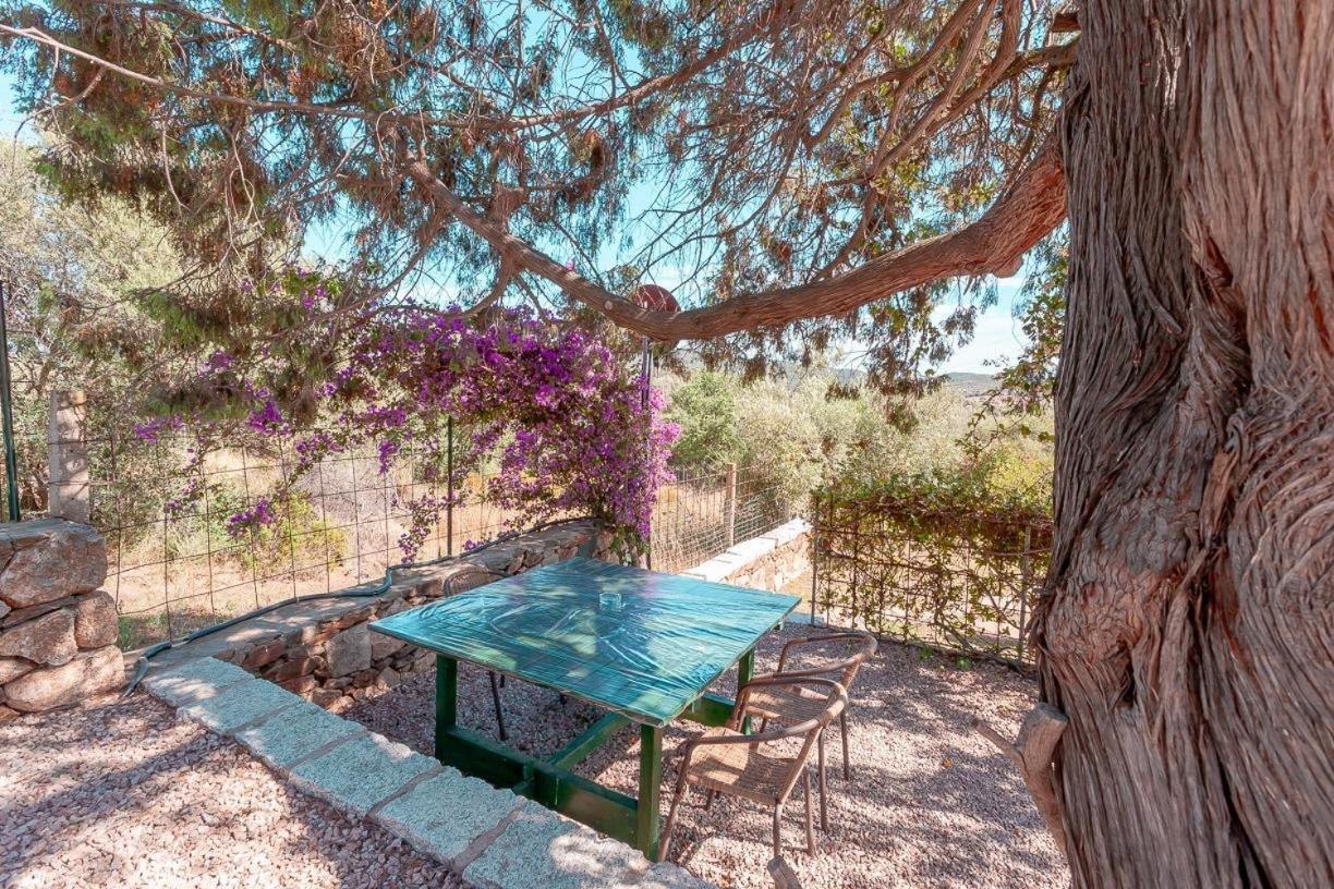 B&B Pettirosso Garden San Teodoro (Sardinia) Exterior foto