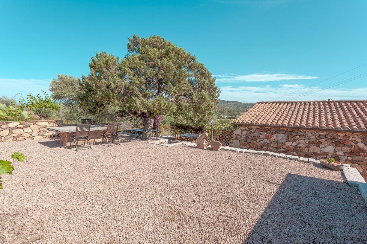 B&B Pettirosso Garden San Teodoro (Sardinia) Exterior foto